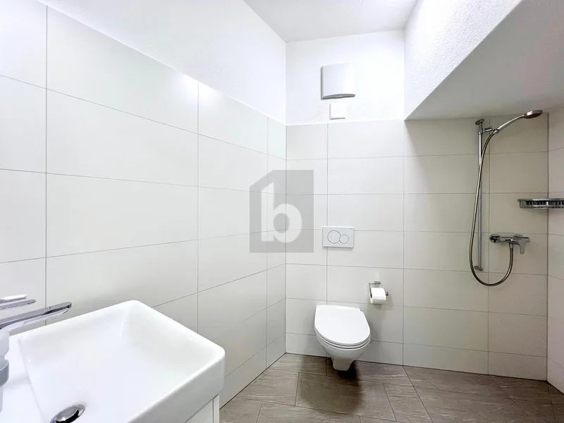 Gewerbe 1 Zimmer in Buchs — photo 4