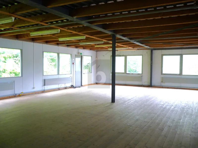 Gewerbe 4 Zimmer in Z.I d'Aclens — photo 4