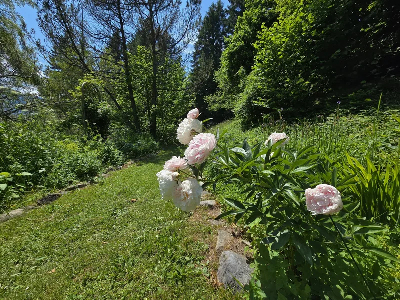 Maison / Villa 6 pièces à La Barboleuse — 4