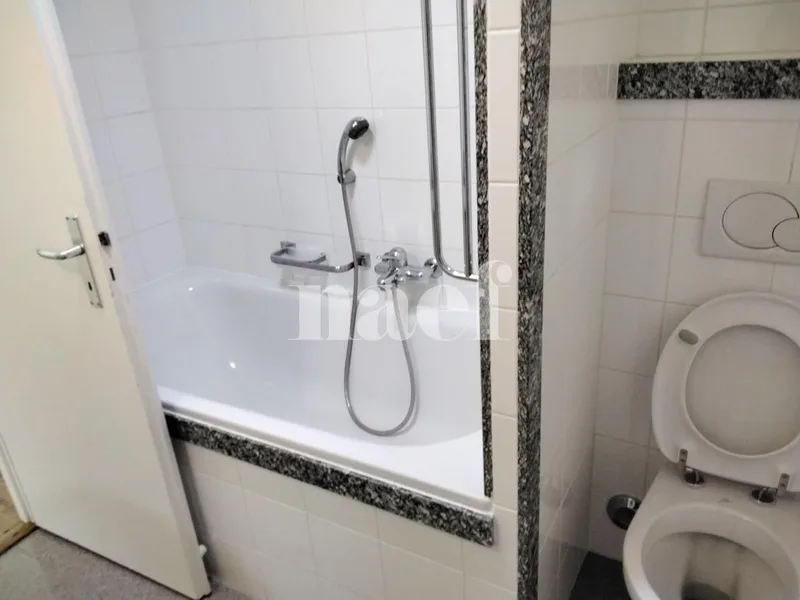 Wohnung 4 Zimmer in Genève — 6