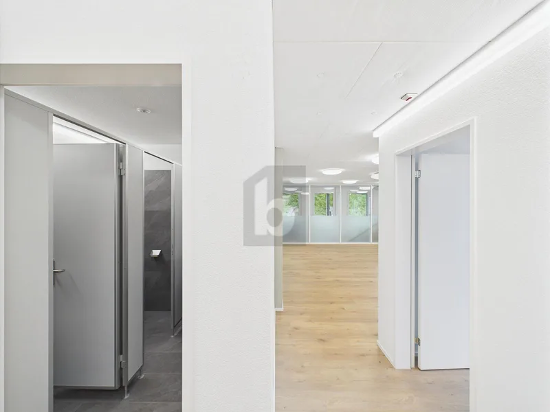 Gewerbe 2 Zimmer in Münchenstein — photo 4