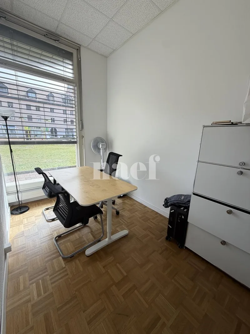 Commercial in Carouge — 6