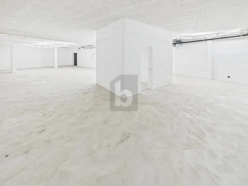 Commercial 1 rooms in Ochlenberg — photo 2