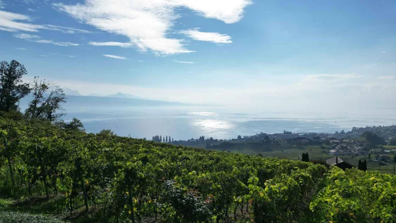 House / Villa 10.5 rooms in Lavaux — 6