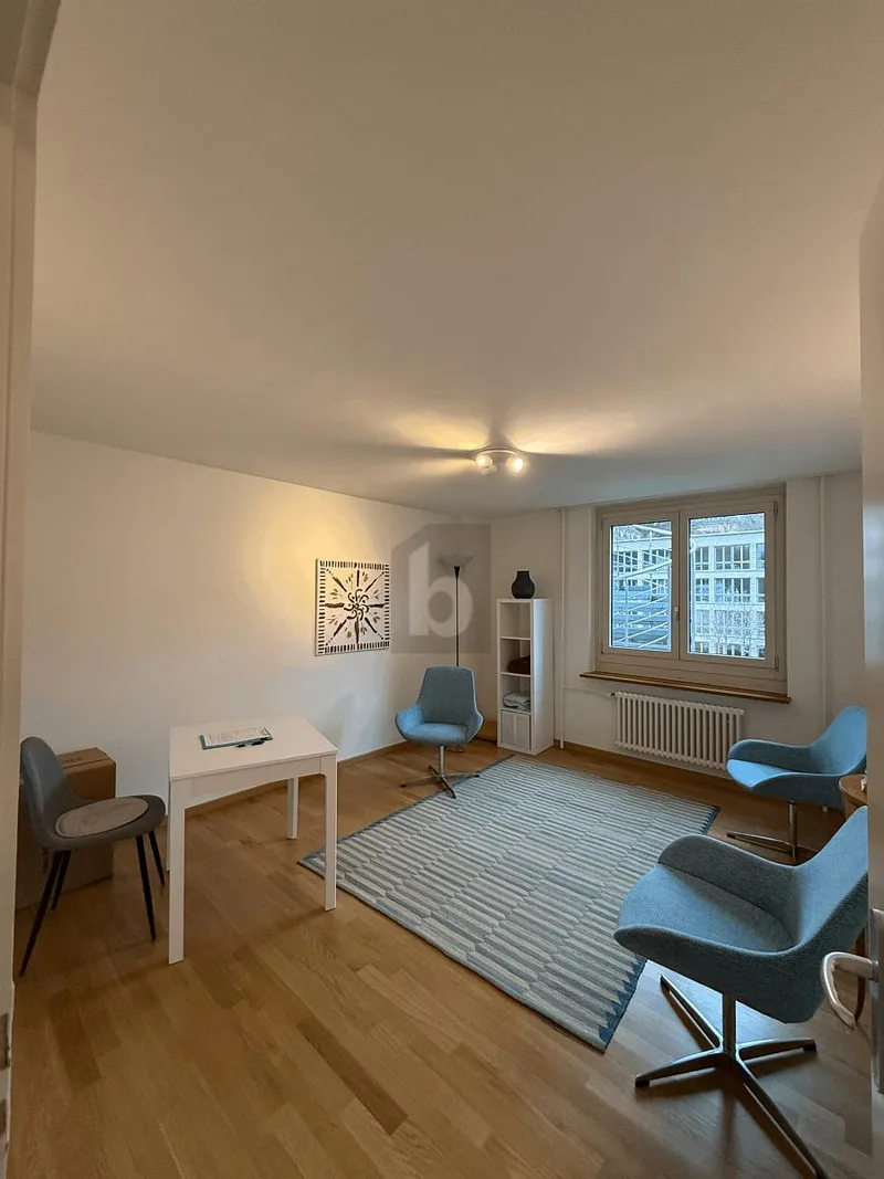 Gewerbe 4 Zimmer in Baden — photo 3