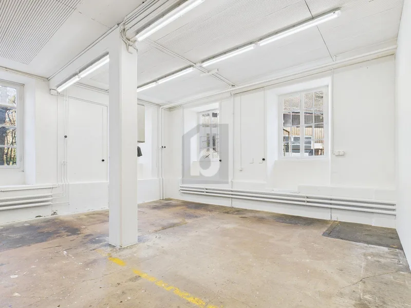 Gewerbe 1 Zimmer in Dürnten — photo 3