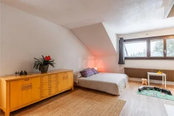 Wohnung 1.5 Zimmer in Vionnaz — photo 3