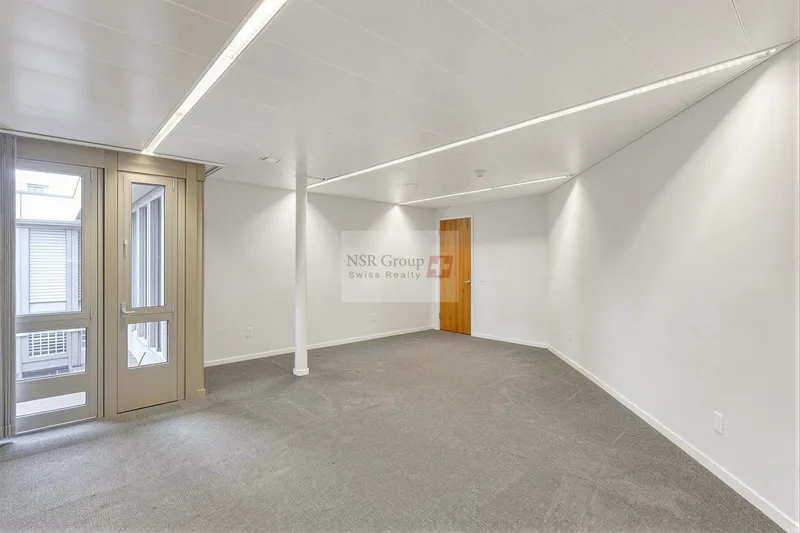 Commercial 16 rooms in Geneva — 17