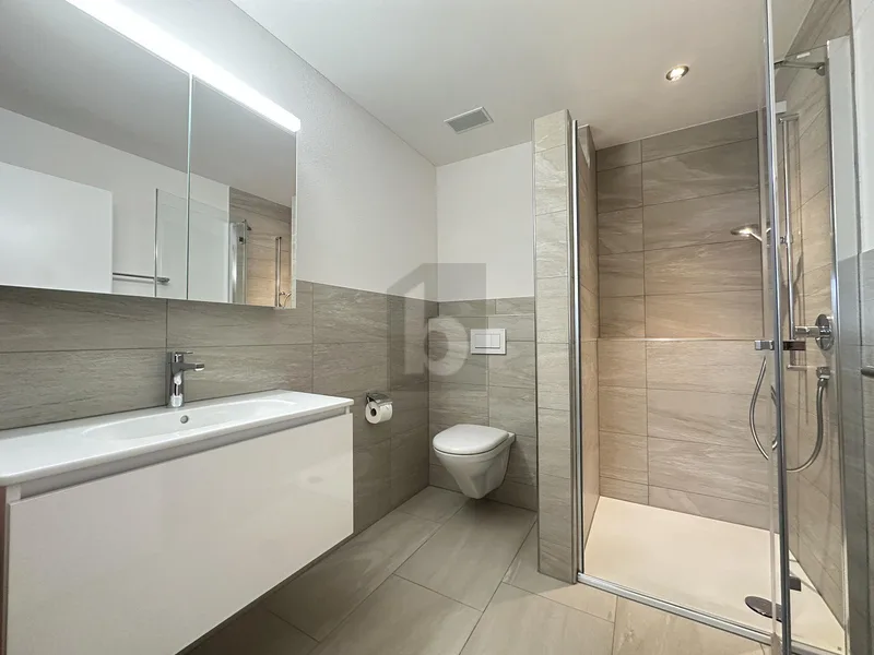 Wohnung 4.5 Zimmer in Boswil — photo 3