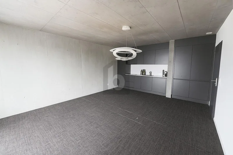 Gewerbe 2 Zimmer in Gruyère — photo 4