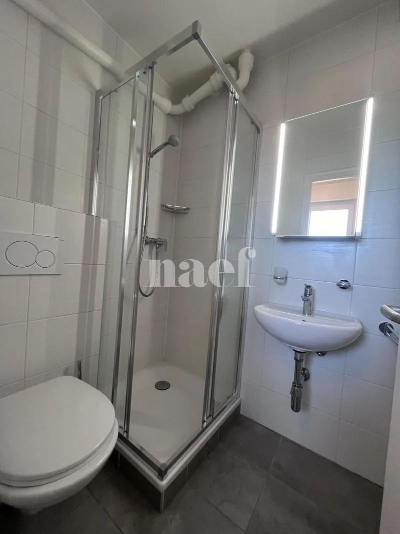 Appartement 1 pièces à La Chaux-de-Fonds — 7