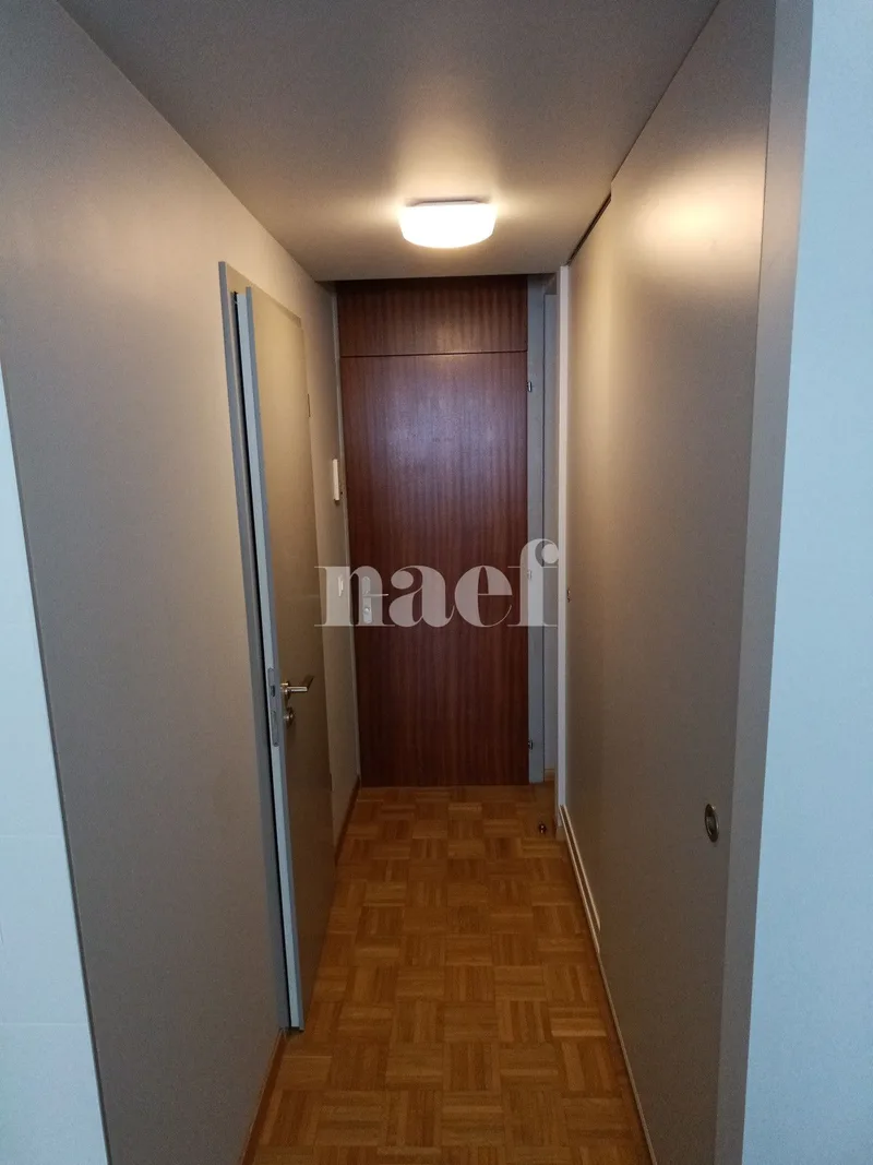 Wohnung 1 Zimmer in Genève — photo 3