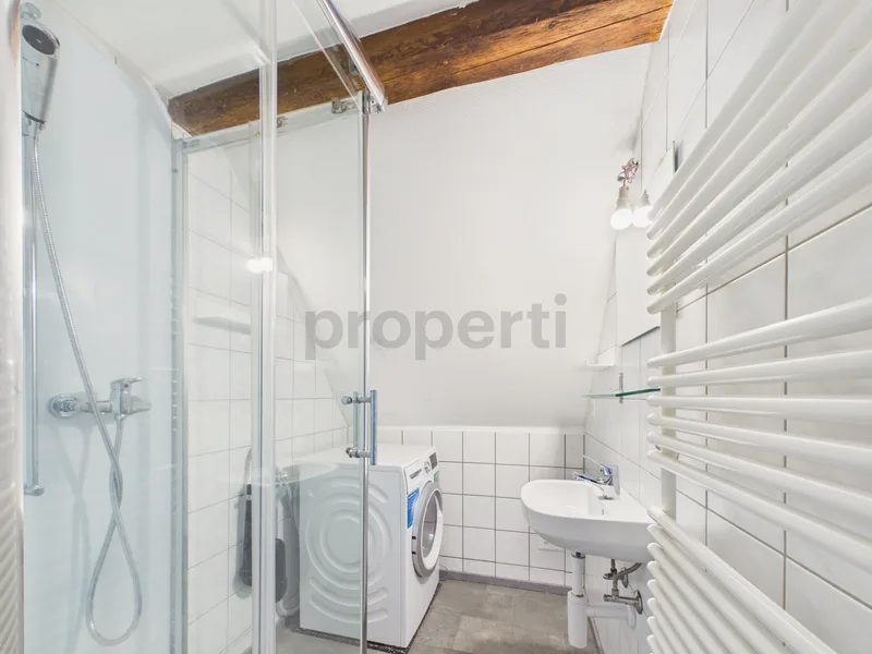 Apartment 4.5 rooms in Steckborn — photo 6