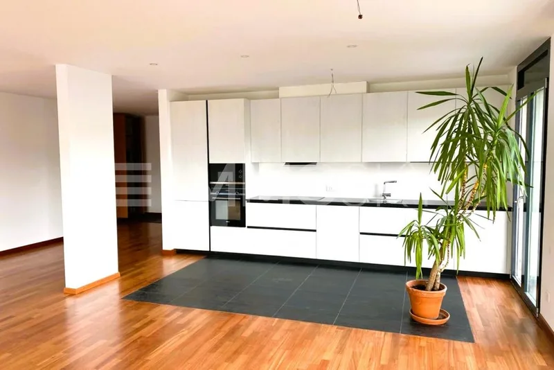 Appartement 4.5 pièces à Paradiso