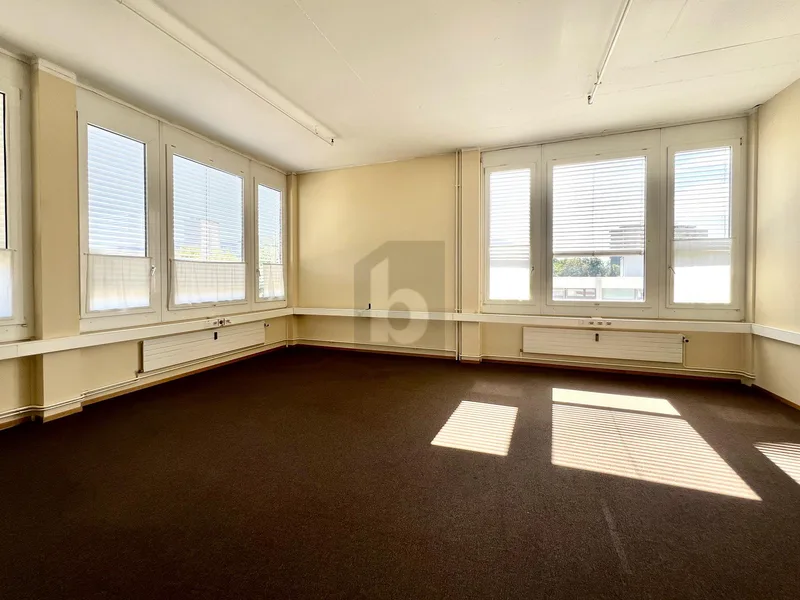 Gewerbe 2 Zimmer in Thônex — photo 3