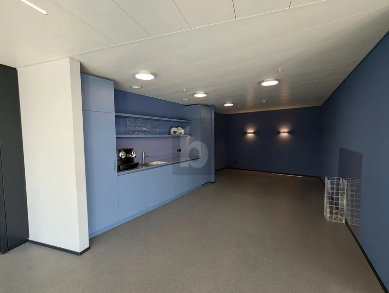 Commercial in Rüschlikon — photo 4