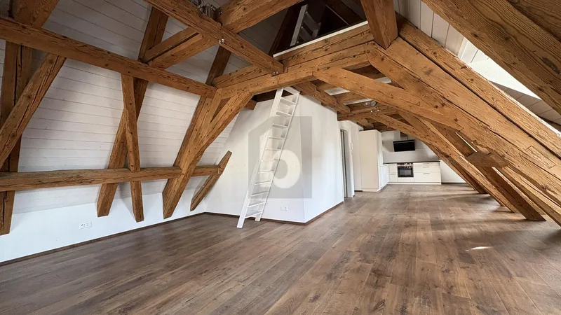 Apartment 1.5 rooms in Altstadt