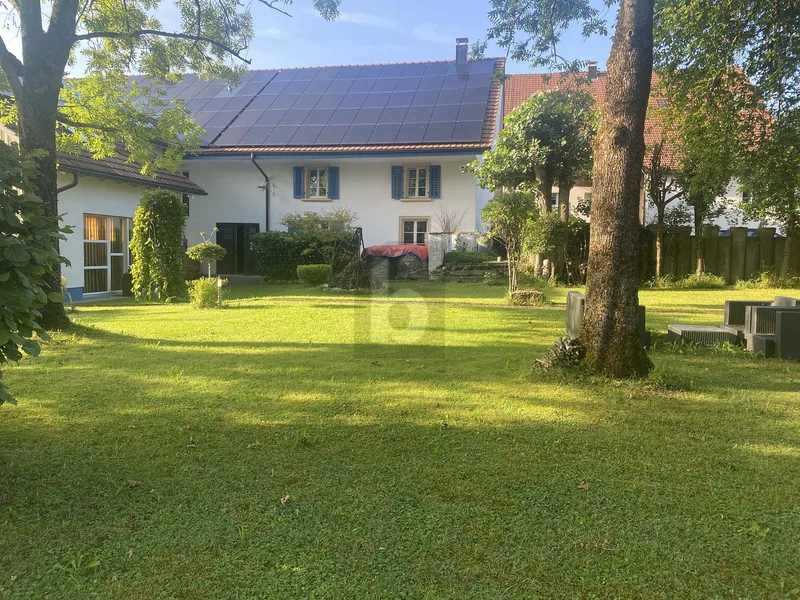 Gewerbe 5.5 Zimmer in Böztal