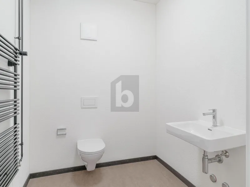 Gewerbe 4 Zimmer in Arth — photo 5