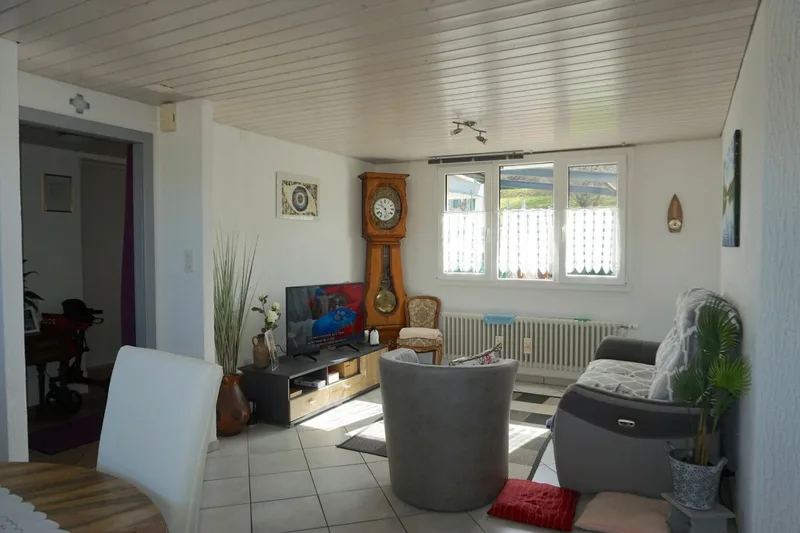 House / Villa 5.5 rooms in Haute-Sorne — 5